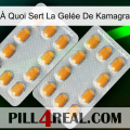 À Quoi Sert La Gelée De Kamagra cialis4